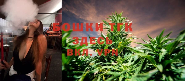 ГАЛЛЮЦИНОГЕННЫЕ ГРИБЫ Белокуриха