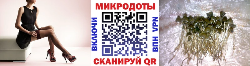 Галлюциногенные грибы GOLDEN TEACHER  Заводоуковск 